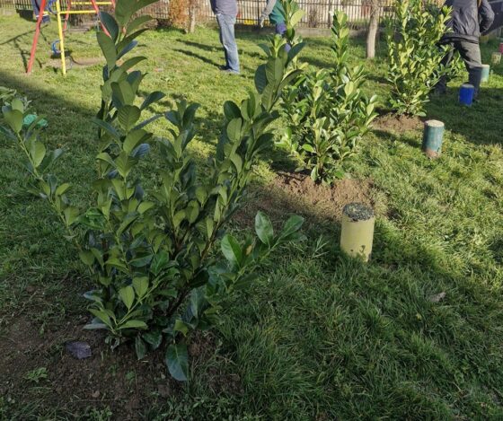 Заједно у зеленију будућност